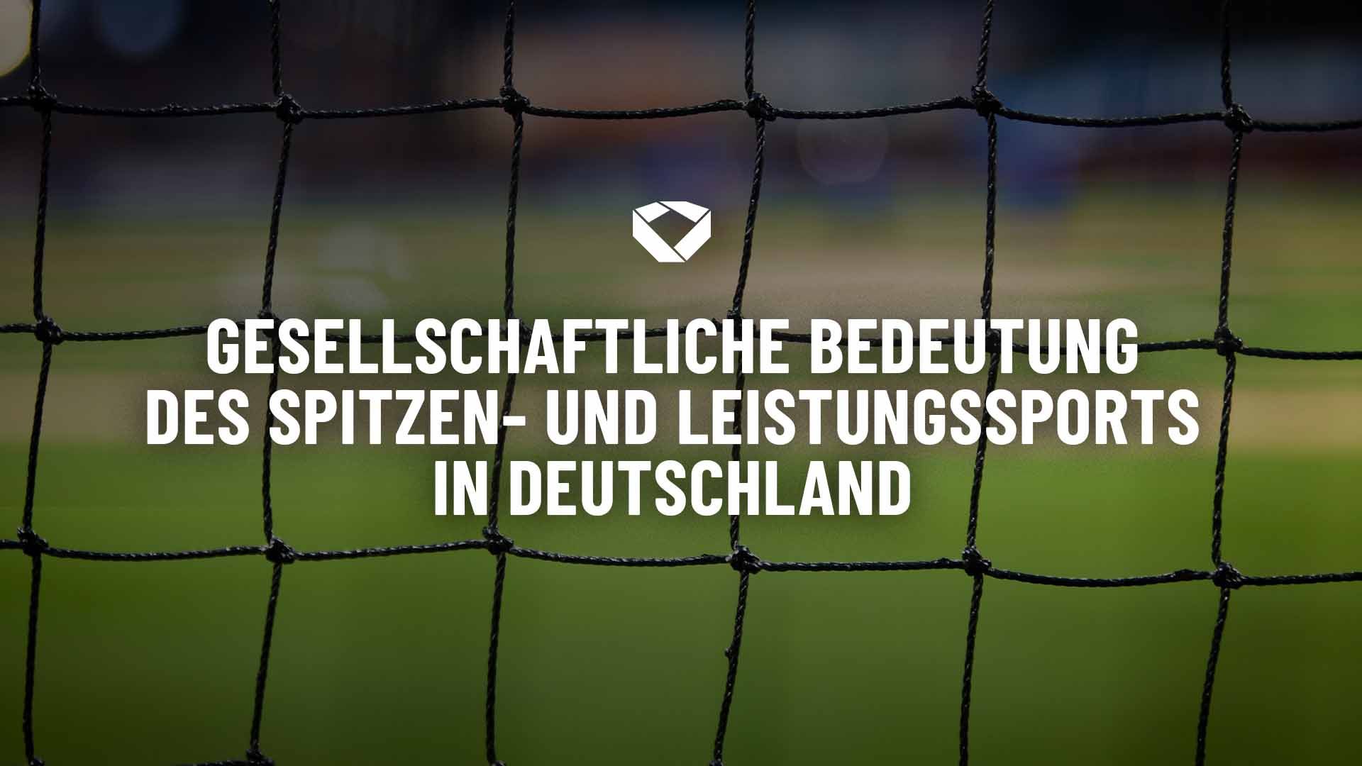 Ein Tornetz vor grünem Rasen. 