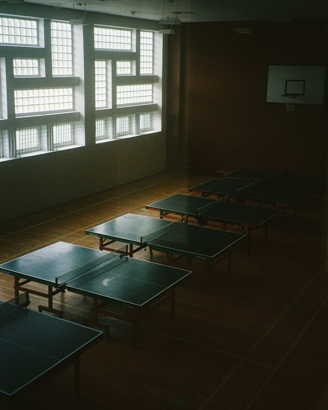 Zentrum für Safe Sport