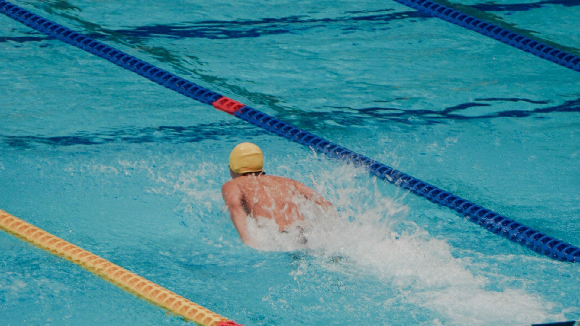 Schwimmer schwimmt in einer Olympa-Schwimmhalle.